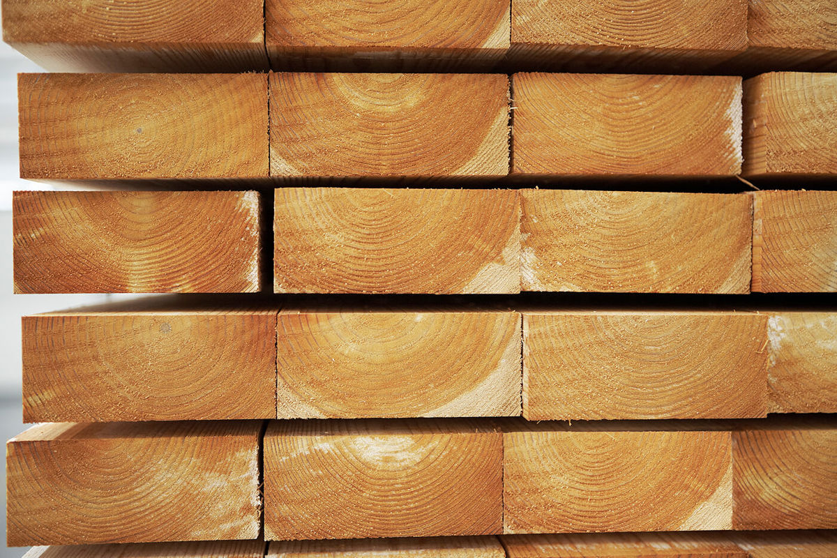 Trae Billede (1) Trae Billede (1)