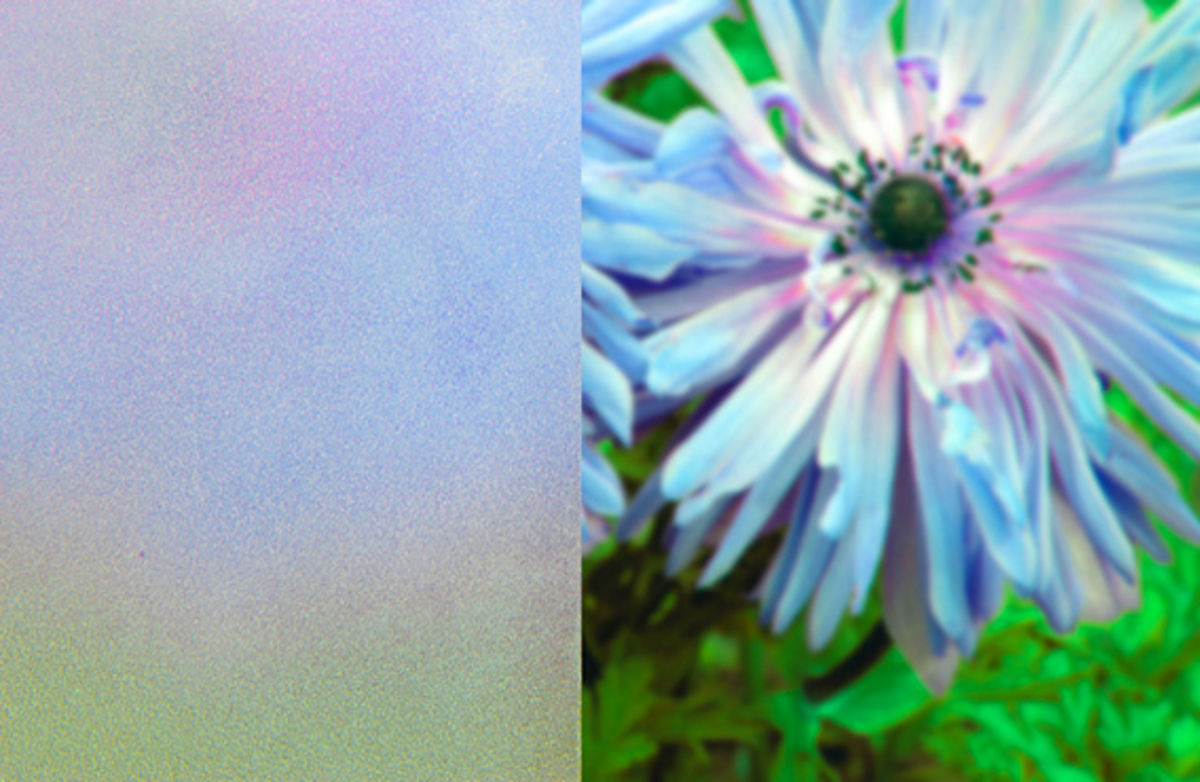 ornamentglas_matelux1.jpg ornamentglas_matelux1.jpg